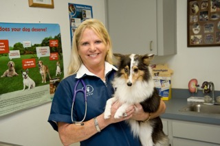 Welcome to Ridge Veterinary Hospital! Dr. Yoder
